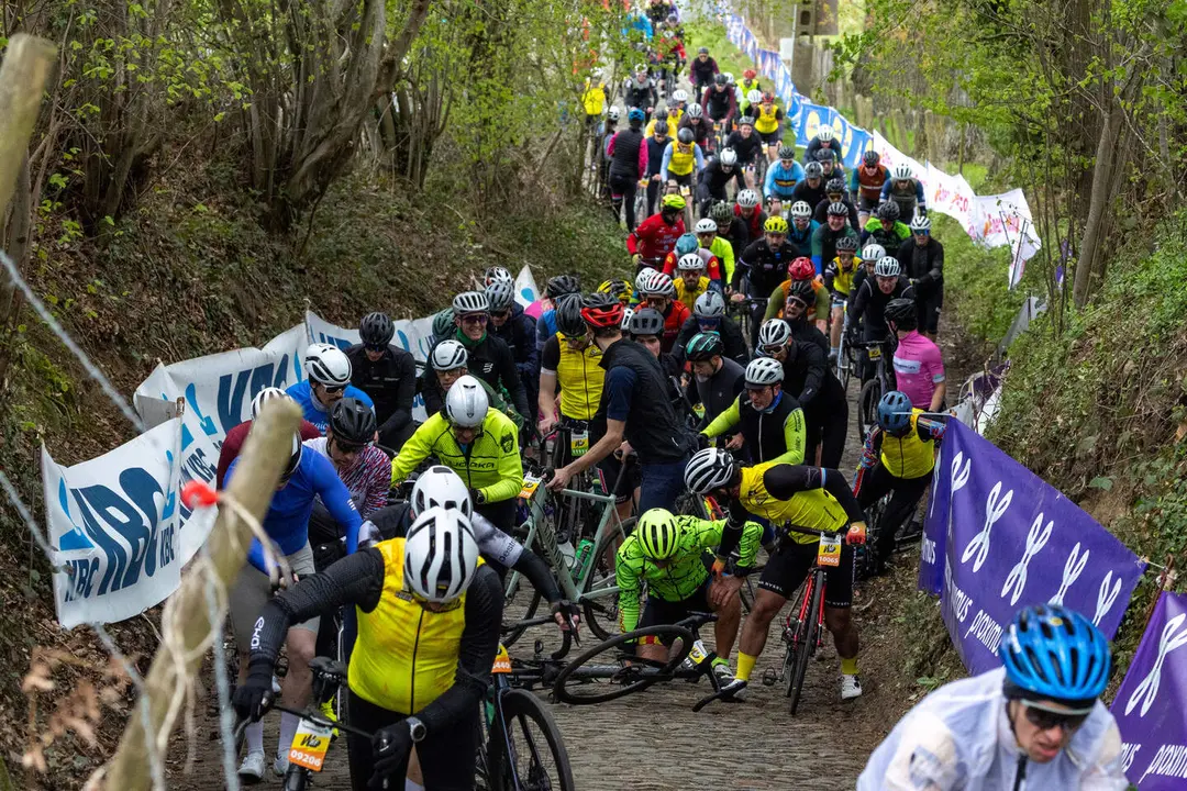 Tour de Flandes aficionado