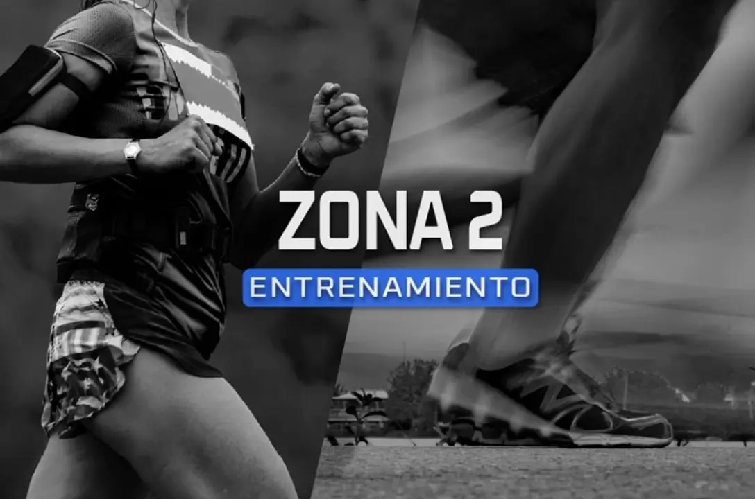 zona 2