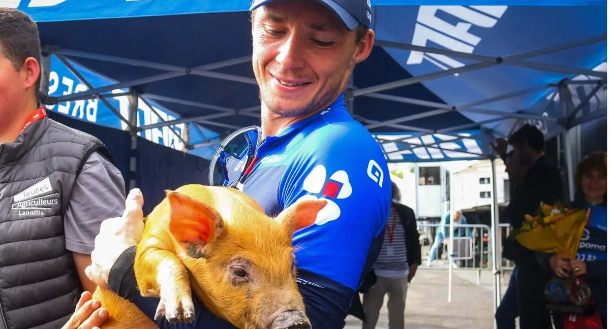 Un ciclista coge a un cerdo en brazos.