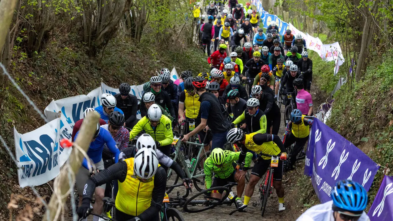Tour de Flandes aficionado