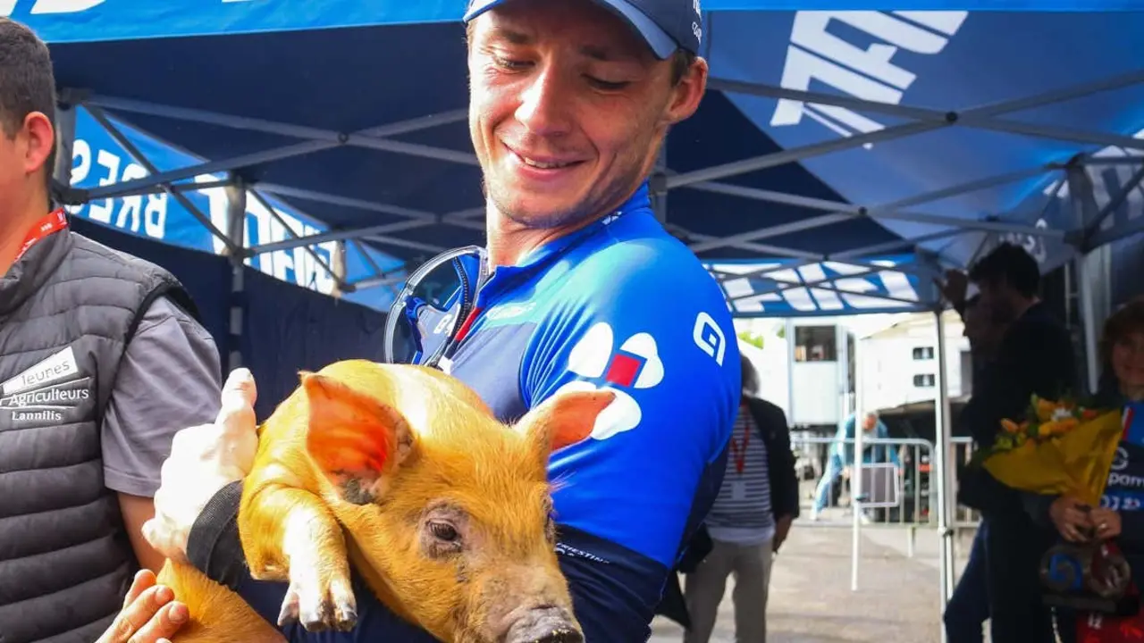Un ciclista coge a un cerdo en brazos.