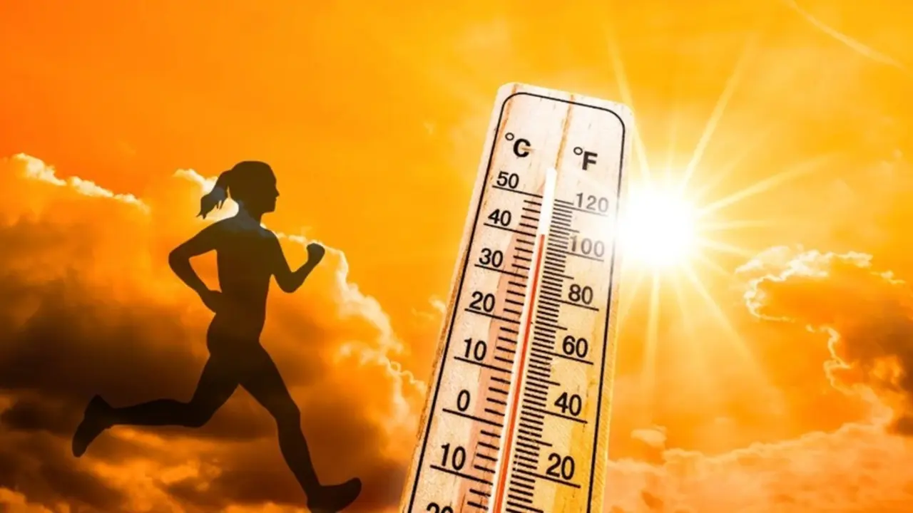 calor 1