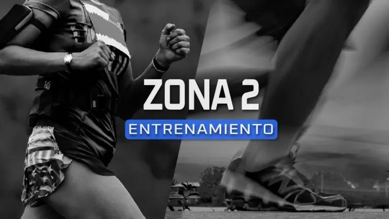 zona 2